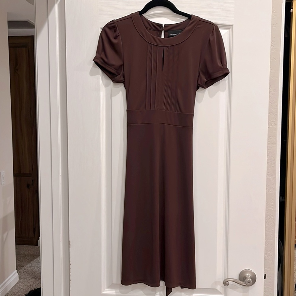 The Limited Dress